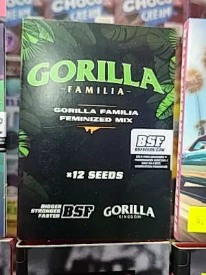 GORILLA FAMILIA FEM X12 BSF